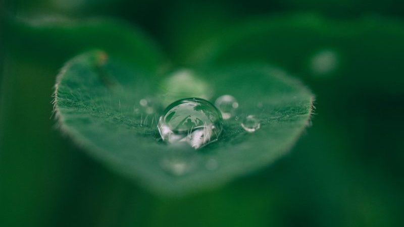 Aaron Burden DXYE1d08BiY Unsplash