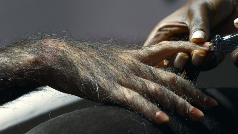 Good Manners As Boas Maneiras (Juliana Rojas and Marco Dutra, 2017)