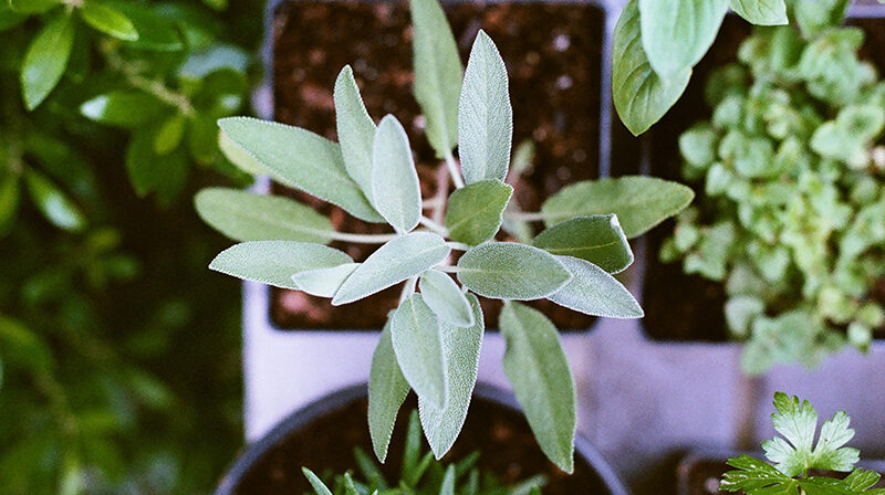 Matt Montgomery 2fW55mLSiSQ Unsplash Webpage