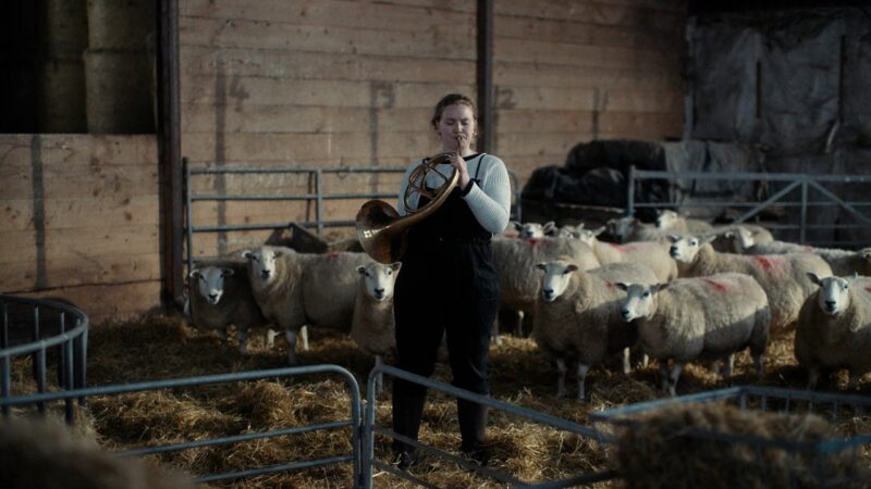 Notes from Sheepland