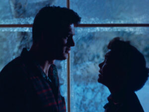 Image credit All That Heaven Allows. Dir - Douglas Sirk. Courtesy of Park Circus.