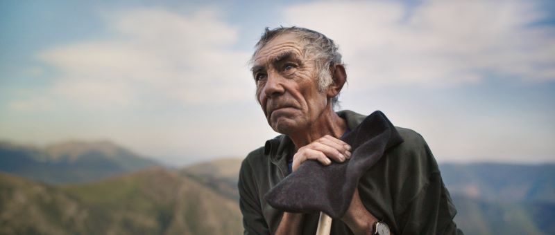 The Shepherd and the Bear