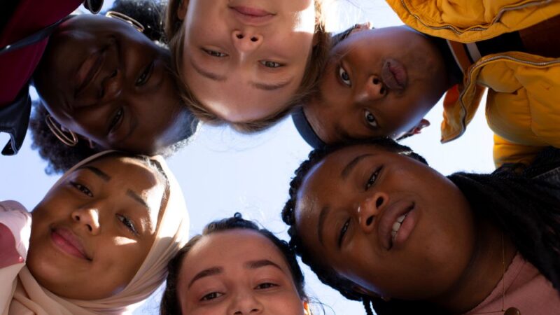 Rocks © Altitude Films